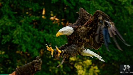 Lednice D2X 2011_DSC_0129_jrDxO