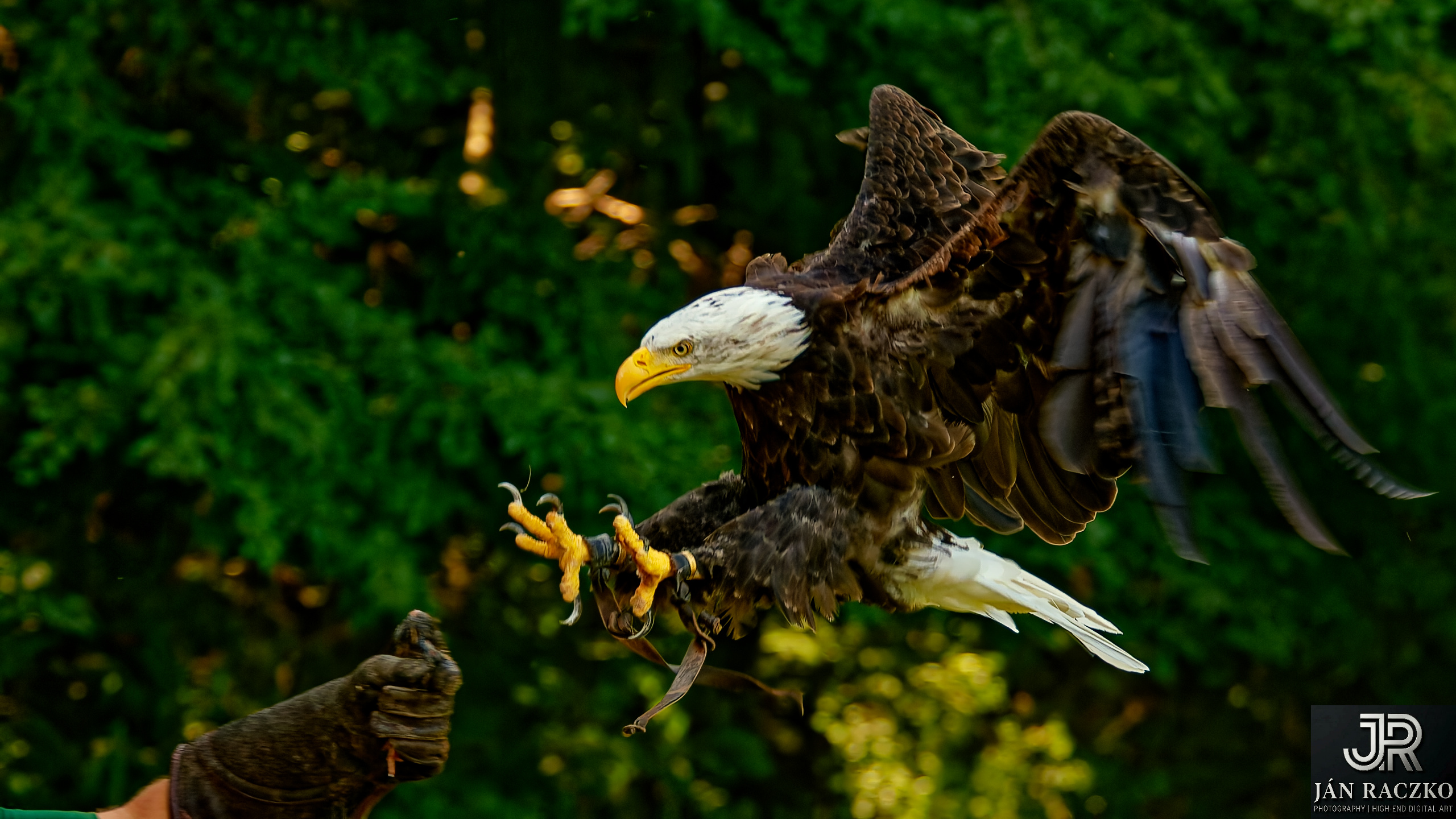 Lednice D2X 2011_DSC_0129_jrDxO