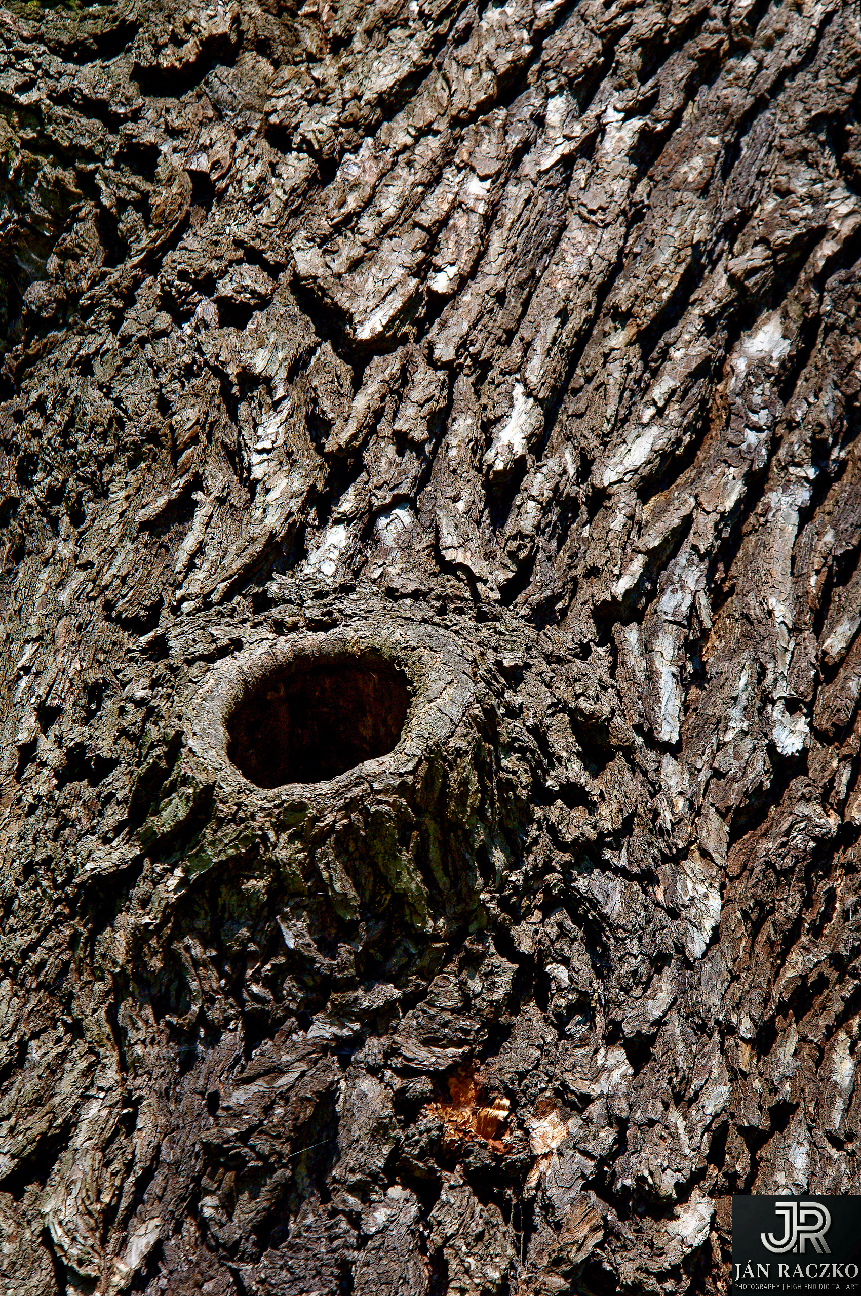 Mikulov2012K1DSC_0146__jrDxO